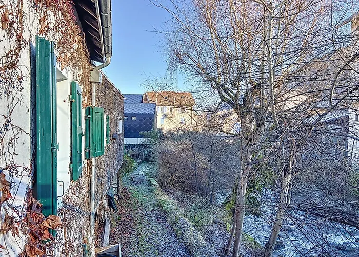 Maison Des Bains * Allevard